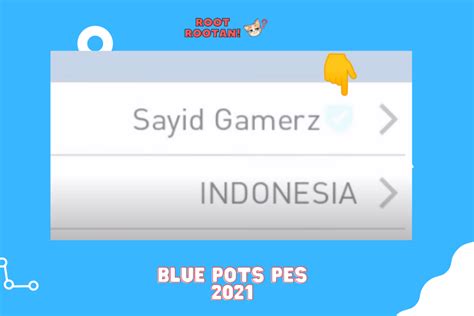 Blue Pots Pes